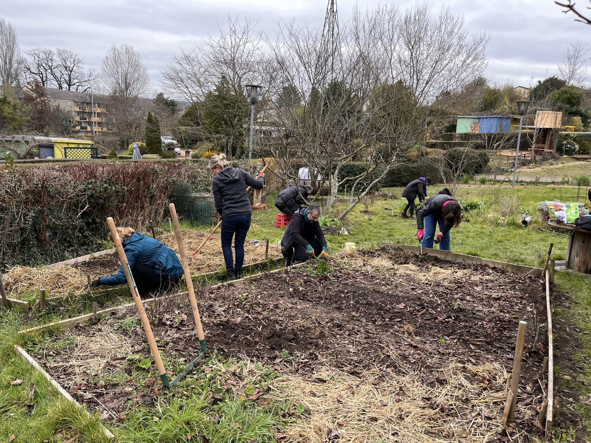 Permaculture – Semis en godet et pleine terre (ouvert à tous nos adhérents)