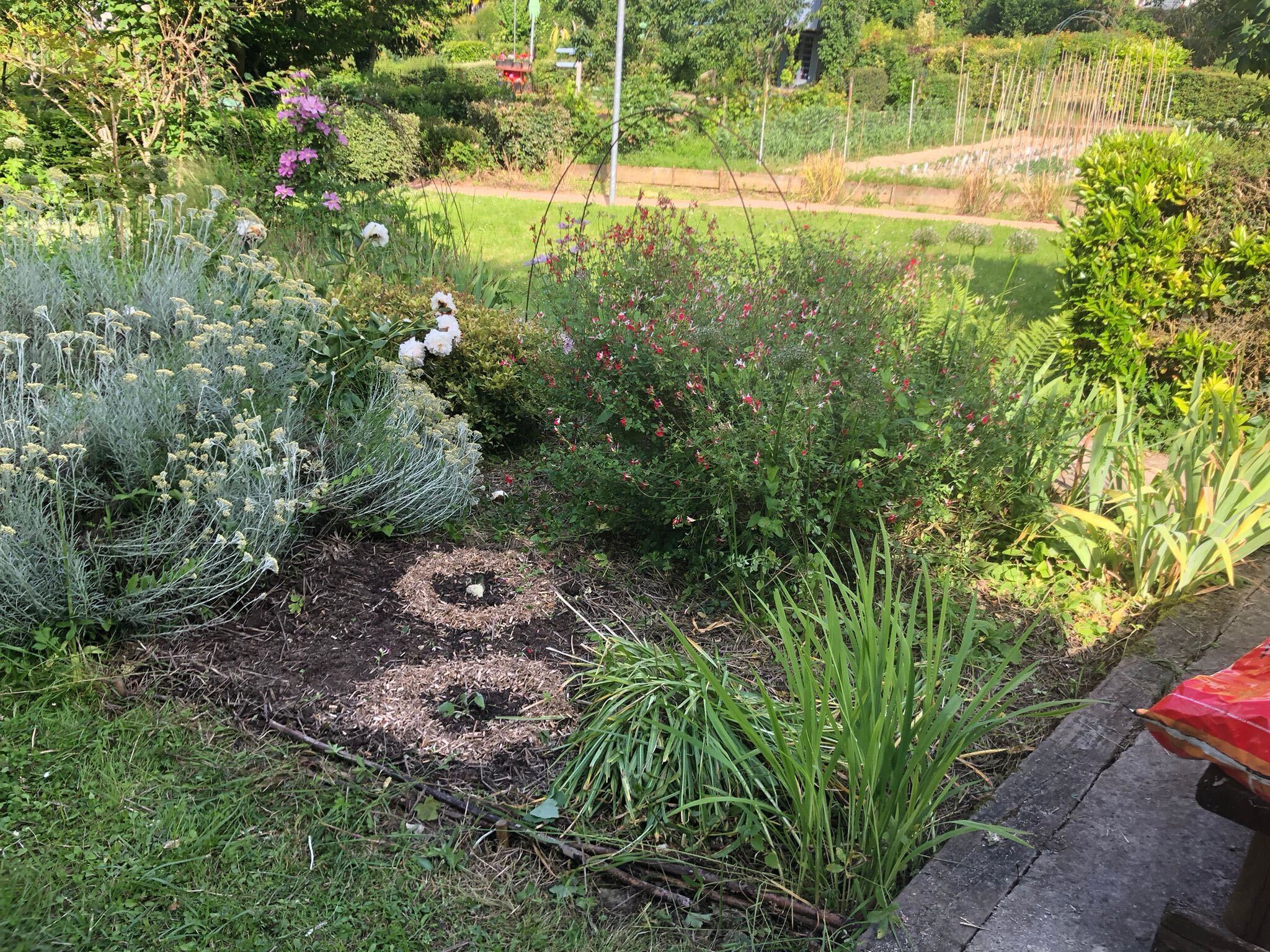 Permaculture – design de la parcelle (ouvert à tous nos adhérents)